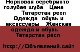 Норковая серебристо- голубая шуба › Цена ­ 37 000 - Татарстан респ. Одежда, обувь и аксессуары » Женская одежда и обувь   . Татарстан респ.